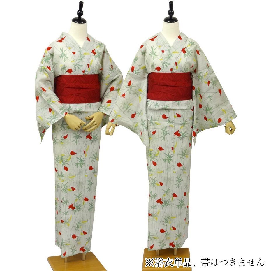綿 生成地