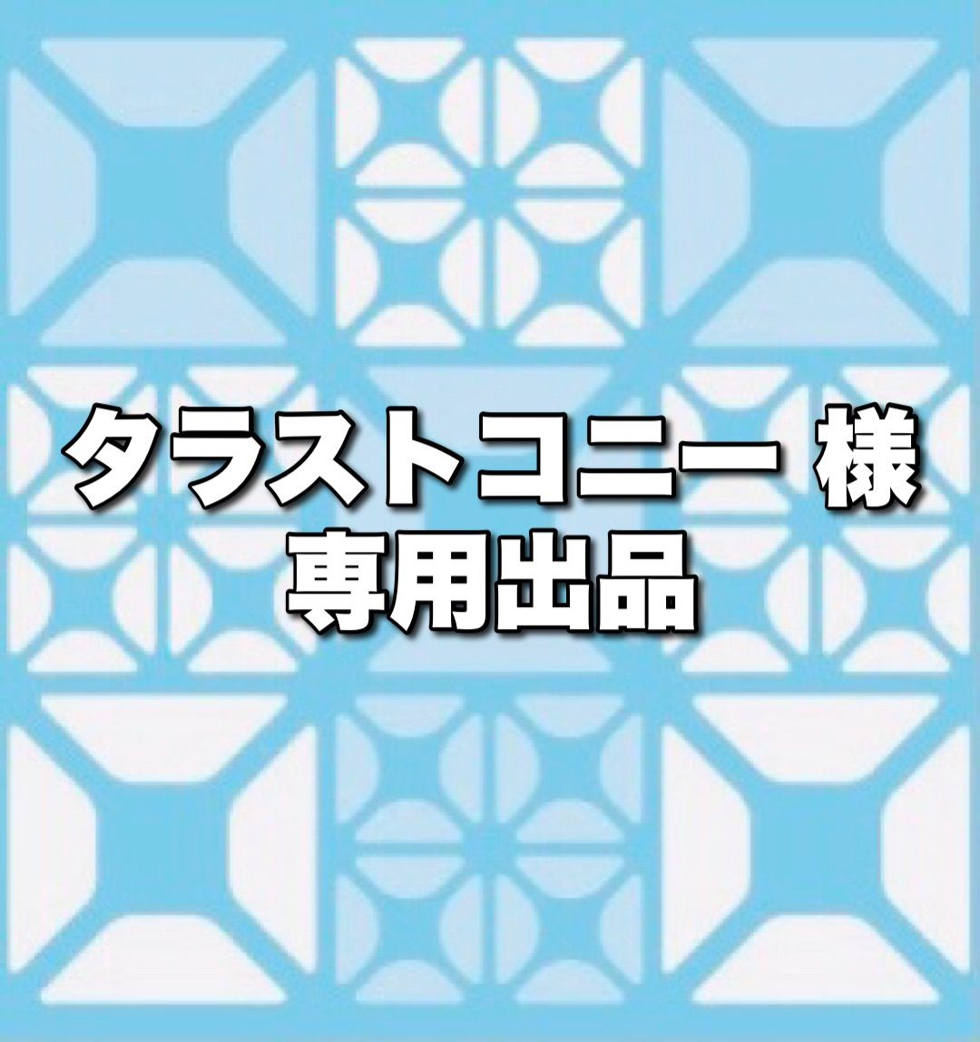 エコカラット グラナスルドラ専用出品　2