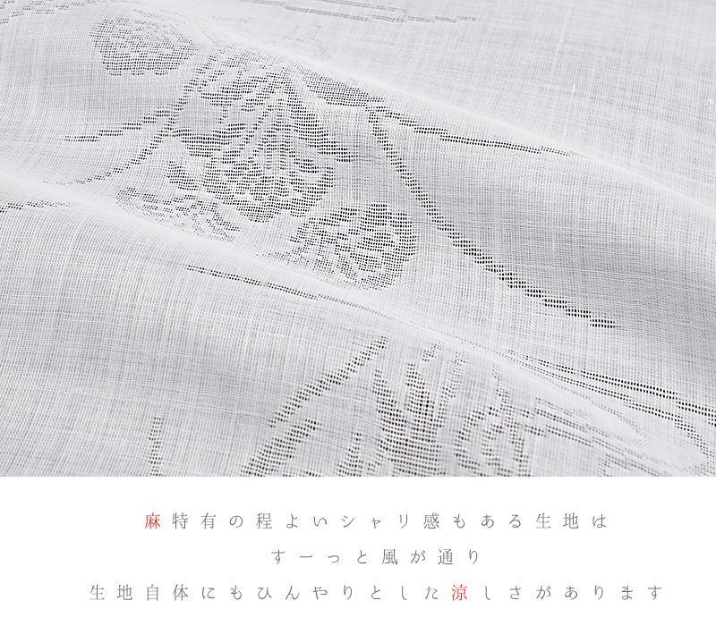 志賀麻 白地