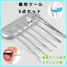 歯石取り 歯用ツール 口臭予防 オーラルケア 歯石除去 器具 6点セット