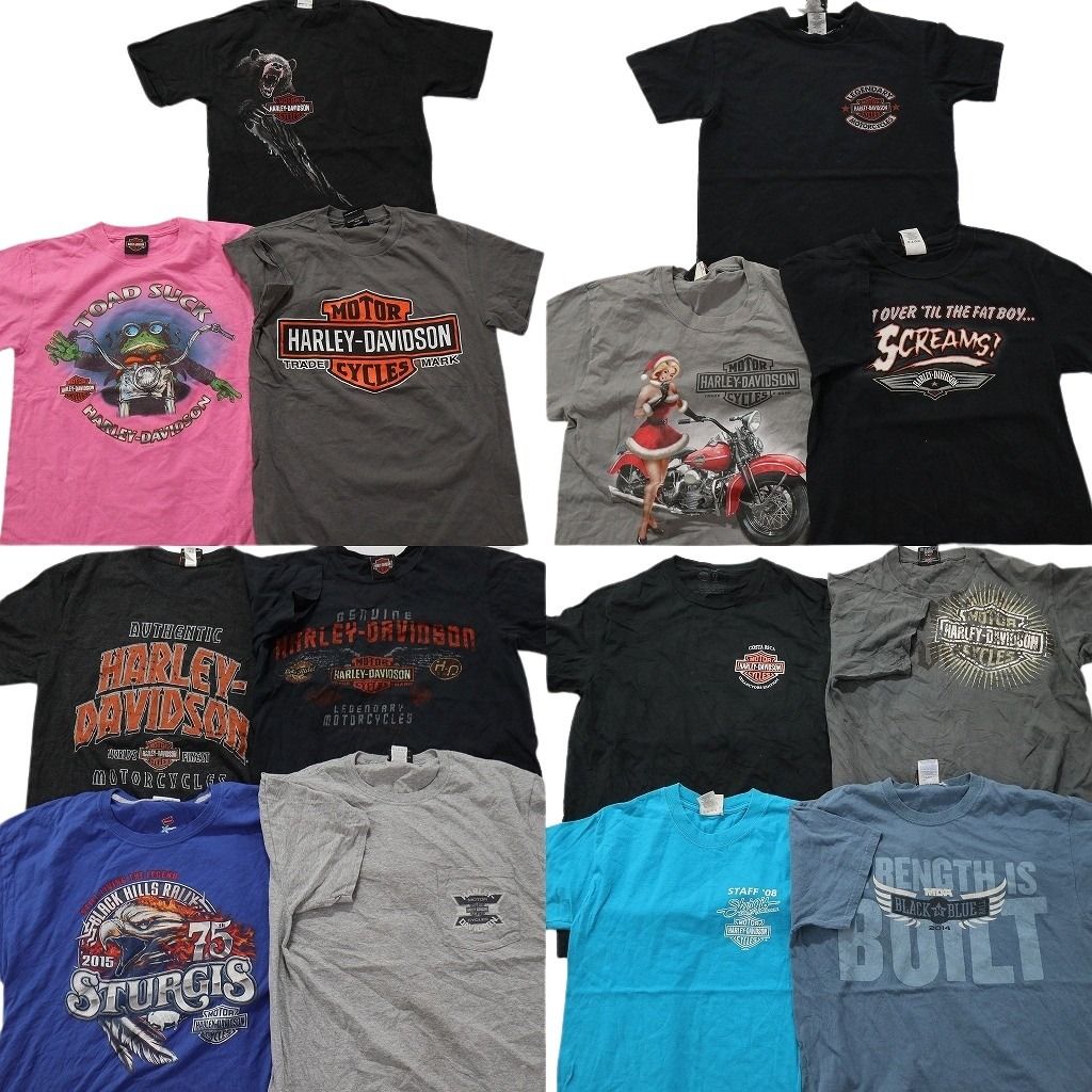 古着卸 ハーレーダビッドソン 半袖Tシャツ 14枚セット メンズ S |M |L ワンポイント アニマル 胸ポケット 古着 NA2888