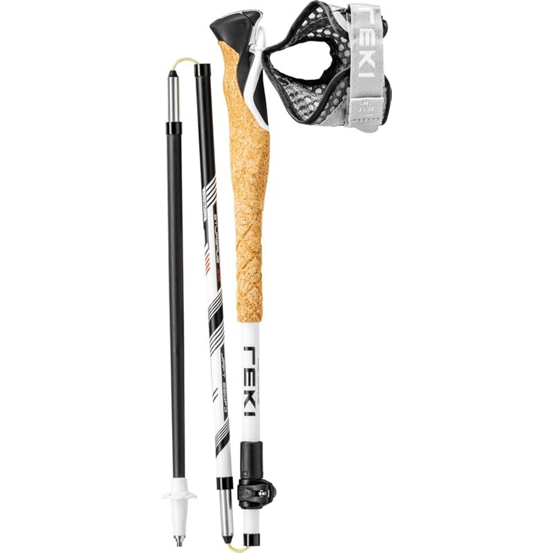 クロストレイル FX