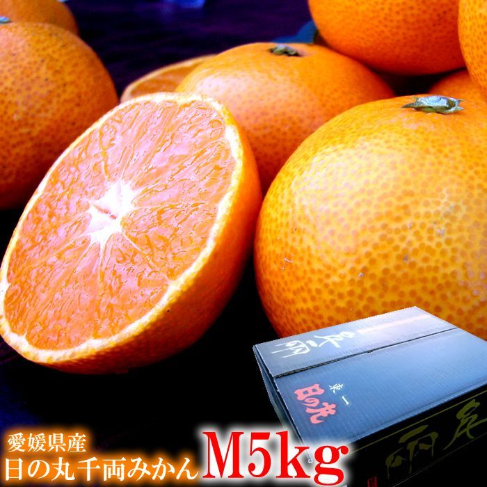 アートな みかん 日の丸みかん 愛媛みかん 愛媛蜜柑 愛媛ミカン 西宇和みかん 愛媛県産 日の丸千両みかんM5kg お歳暮 冬ギフト 11月中旬より順次発送開始です