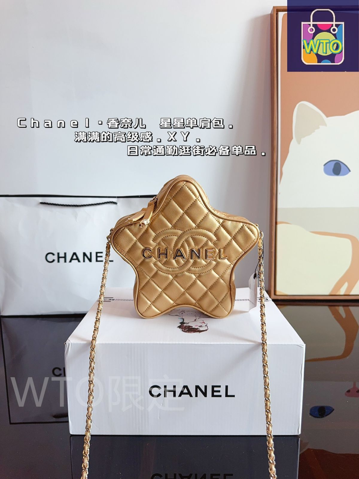 シャネルCHANEL 24 C星のバッグ、ハンドバッグケースバッグ