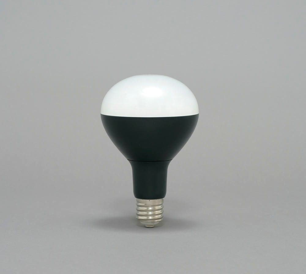 アイリスオーヤマ LED 作業灯 投光器 投光器用交換電球 LED電球 ワーク