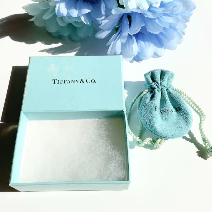 人気の福袋 リアル 新品、未使用 【美品正規品】TIFFANY ビーン エレサ