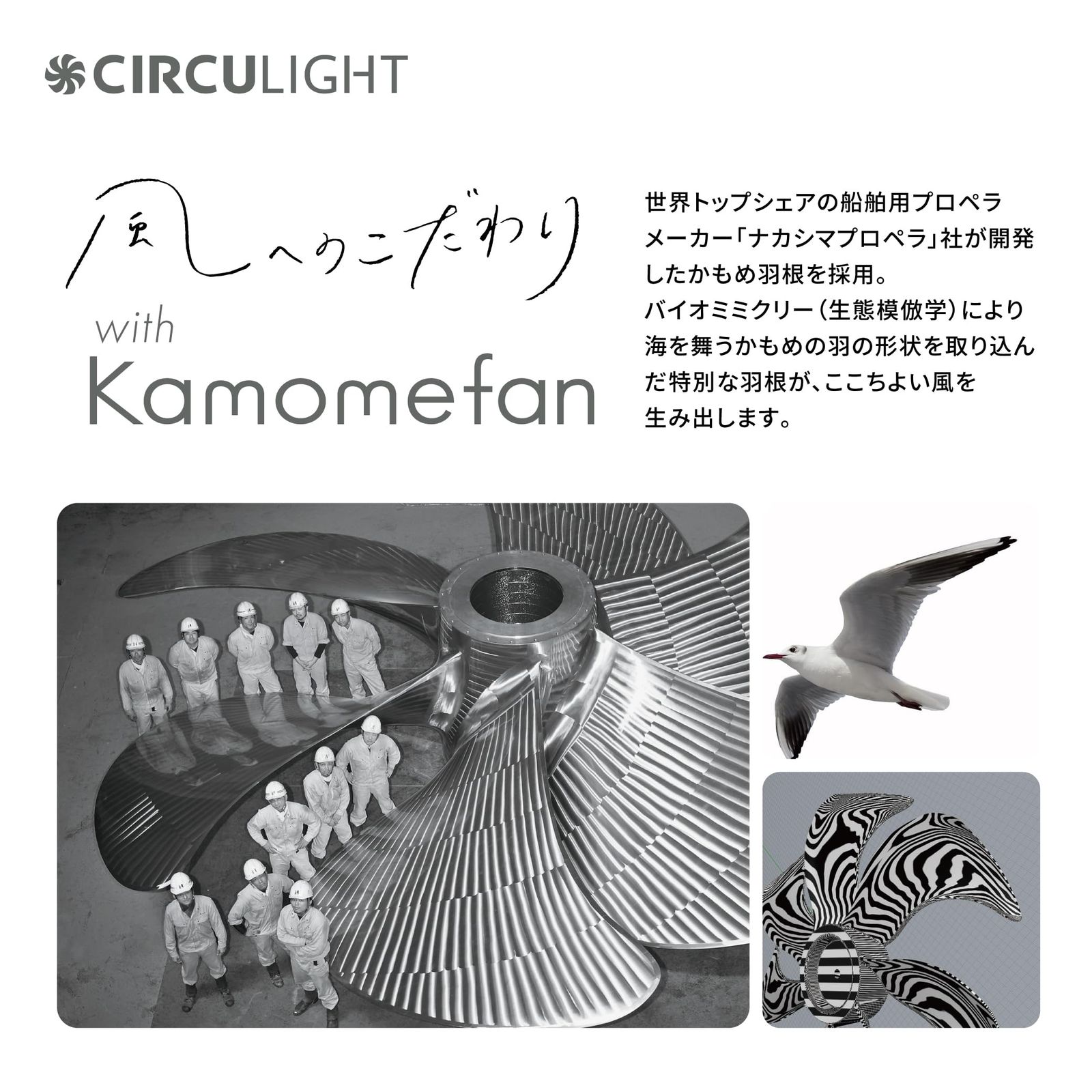 ライトウッド