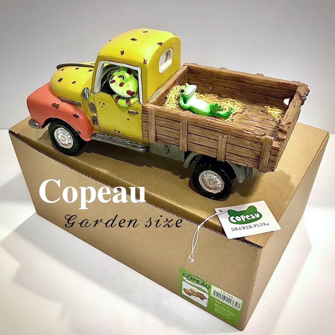 ダイカイ コポー《Copeau》☆Garden size☆ ツノ親分のトラック