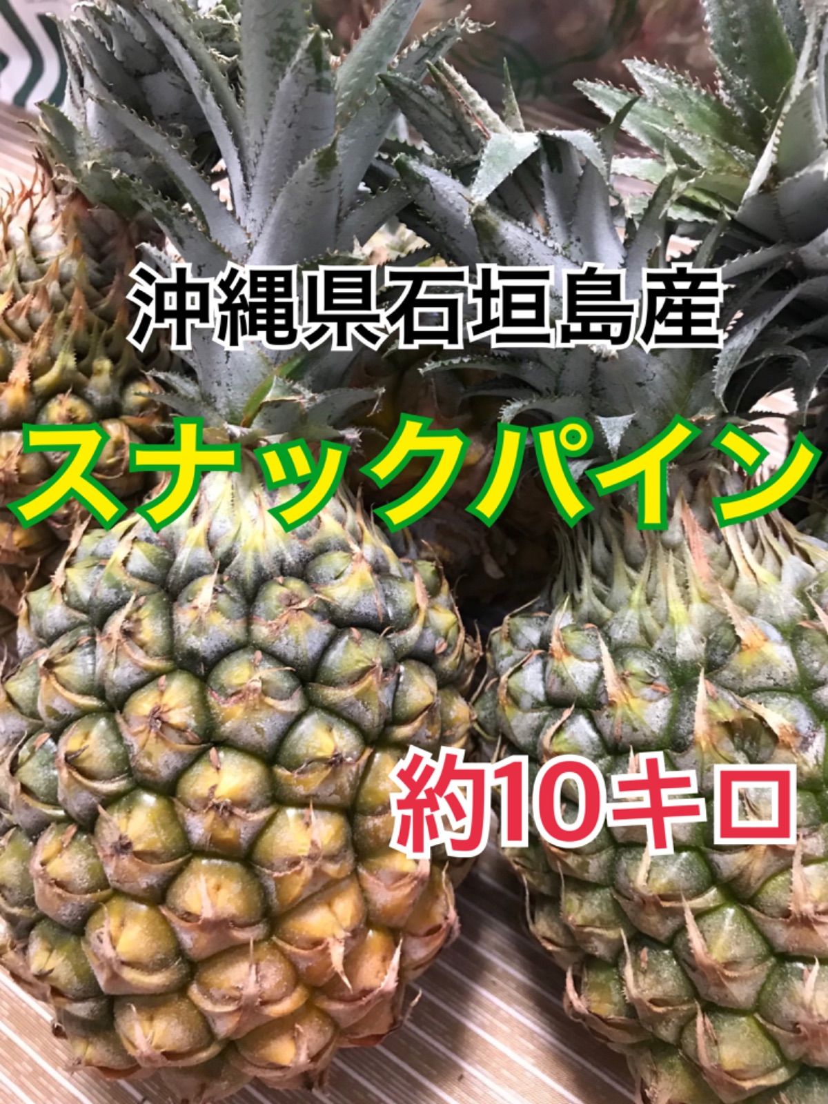 【送料込み】石垣島のスナックパイン（サイズ/個数おまかせ）5kg