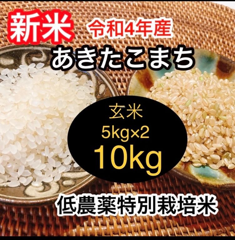 新米あきたこまち 玄米 10kg - 米