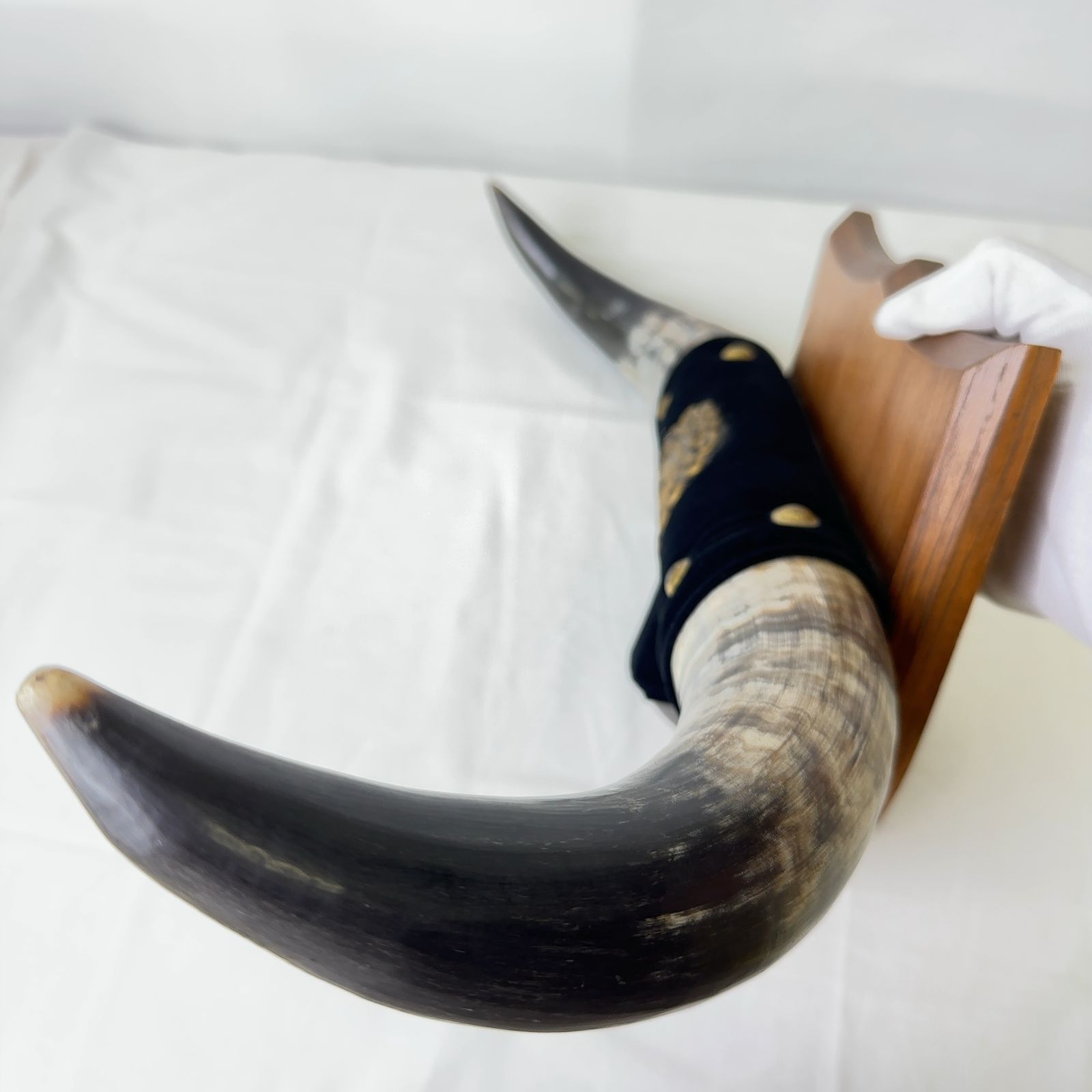 100%本物保証! M251-50-10 角 オブジェ 水牛 置物 インテリア アンティーク ツノ 壁掛け 2025年新色！