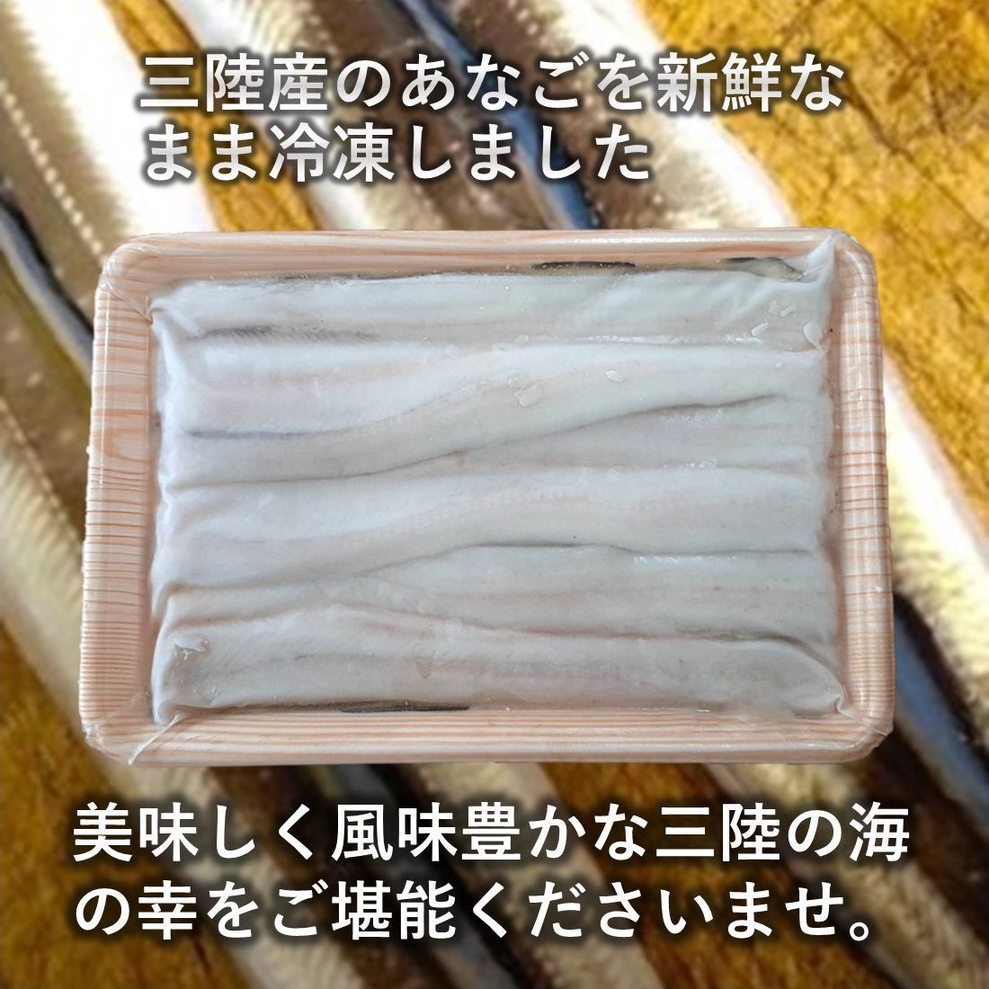 三陸産 あなご 500g  国産 大きさと脂のりが別格 蒲焼 白焼き 天ぷら等々