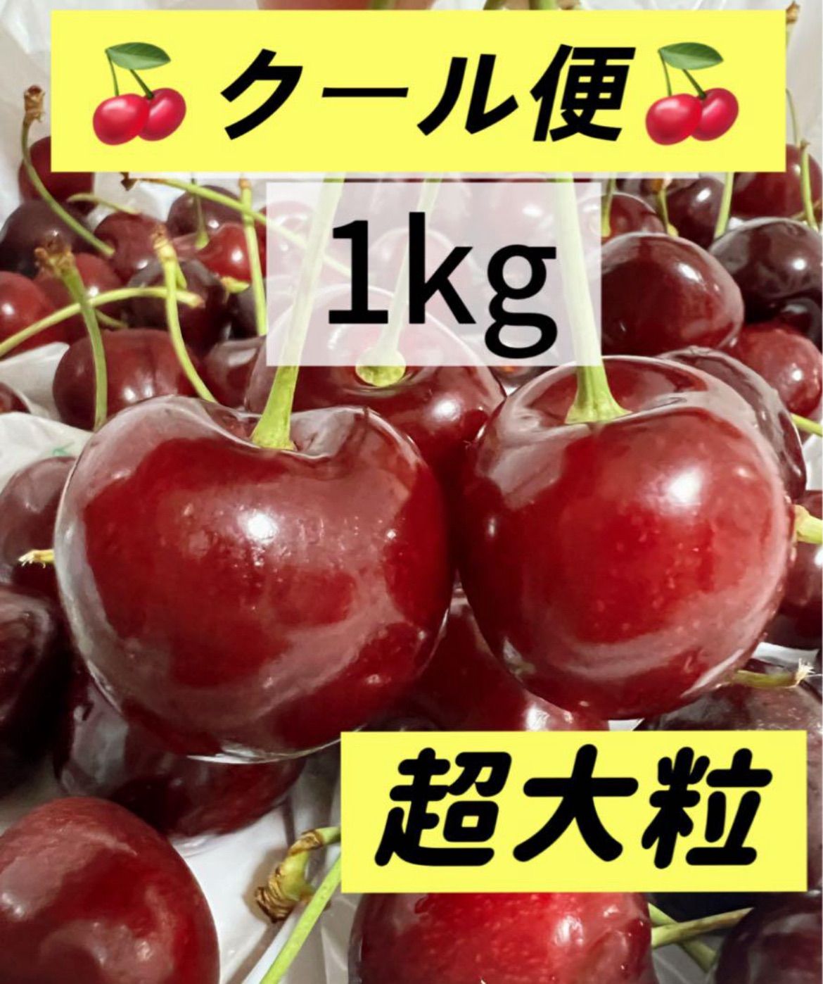 フォロワー様限定100円引きクーポン配布中‼️約1kg‼️クール便‼️9.5r超大粒‼️アメリカンチェリー‼️9.5row サクランボ フルーツ　櫻桃 家庭用 お中元 さくらんぼ　ジューシーな果肉　国内検品発送