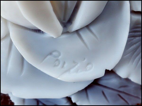 55.6ｍｍ×41.2ｍｍ