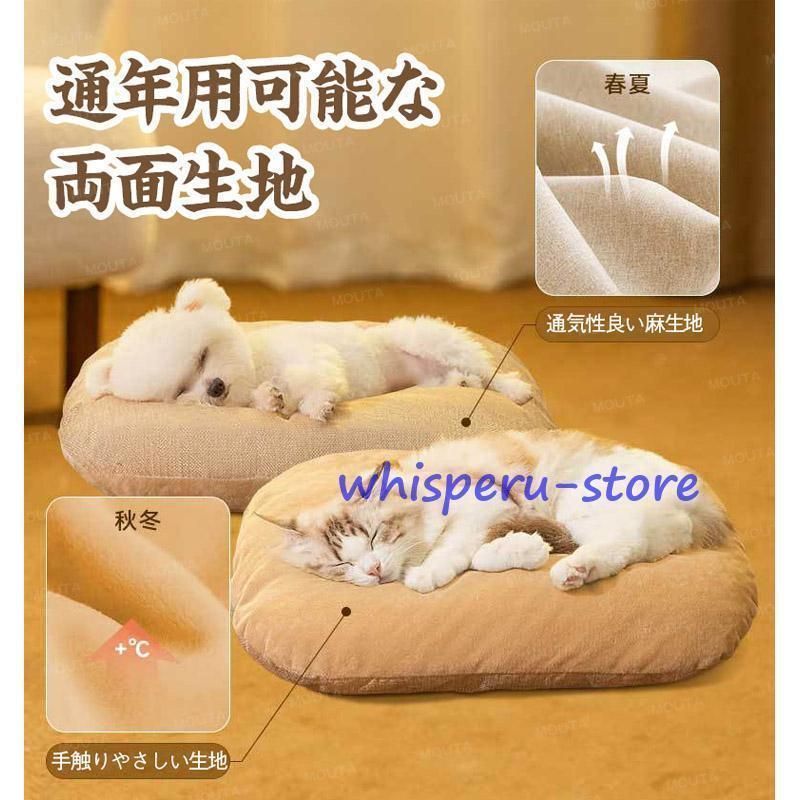 ハウス 猫