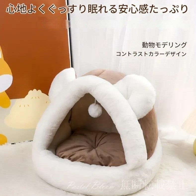洞窟 小型犬