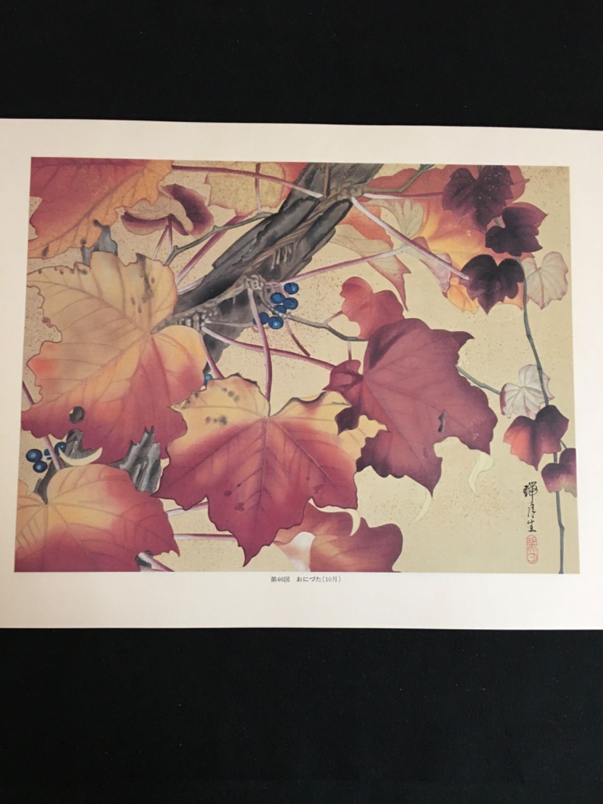 瑞月草花画譜 - メルカリ