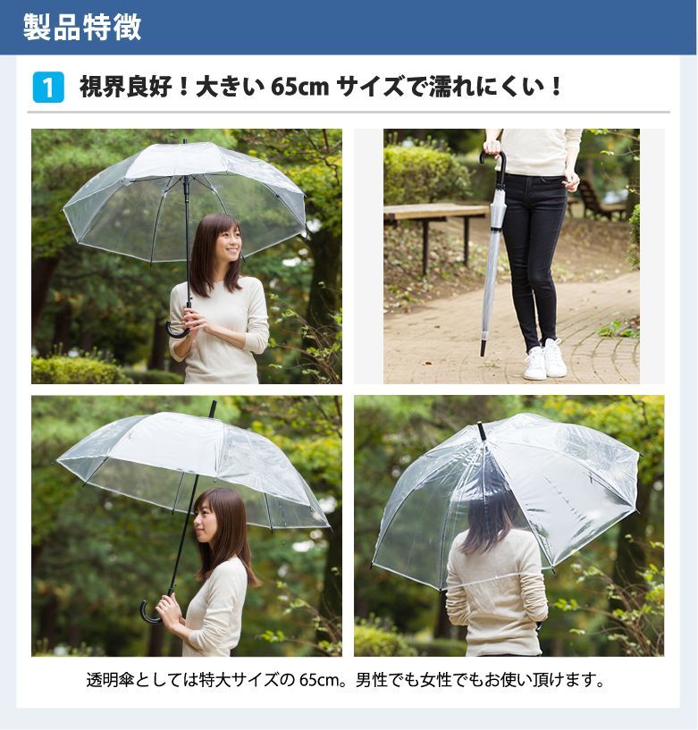65cm×8本骨