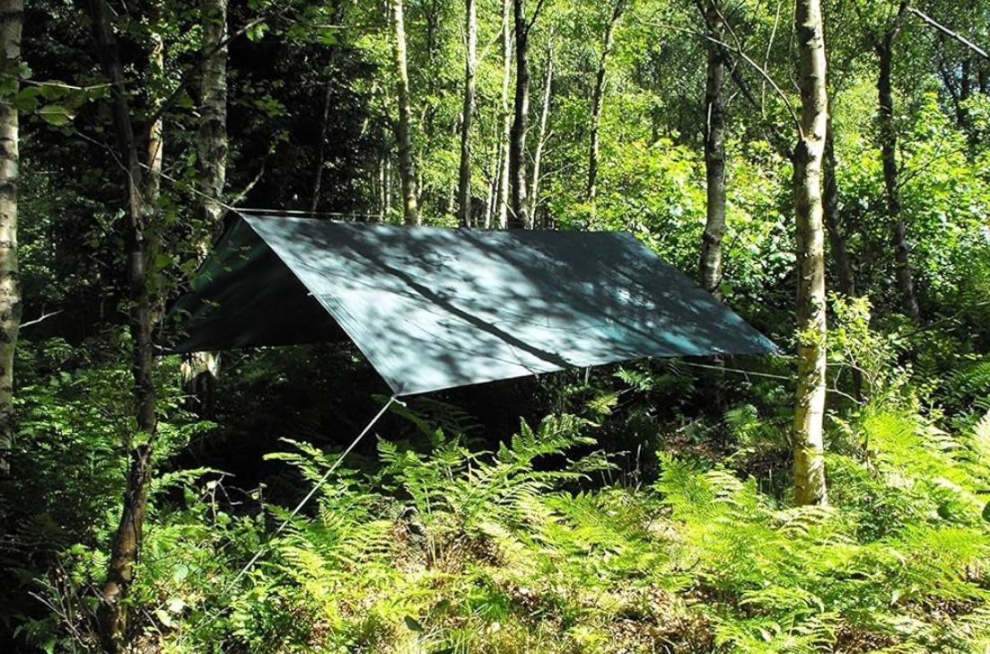 DD TARP