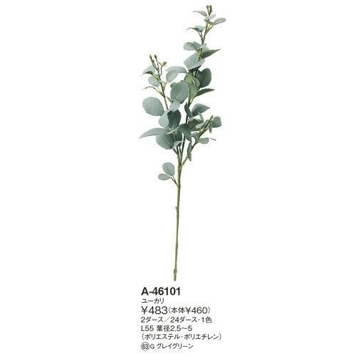 3営業日で発送 ユーカリ 価格変更 A-46101-63G 入数 24