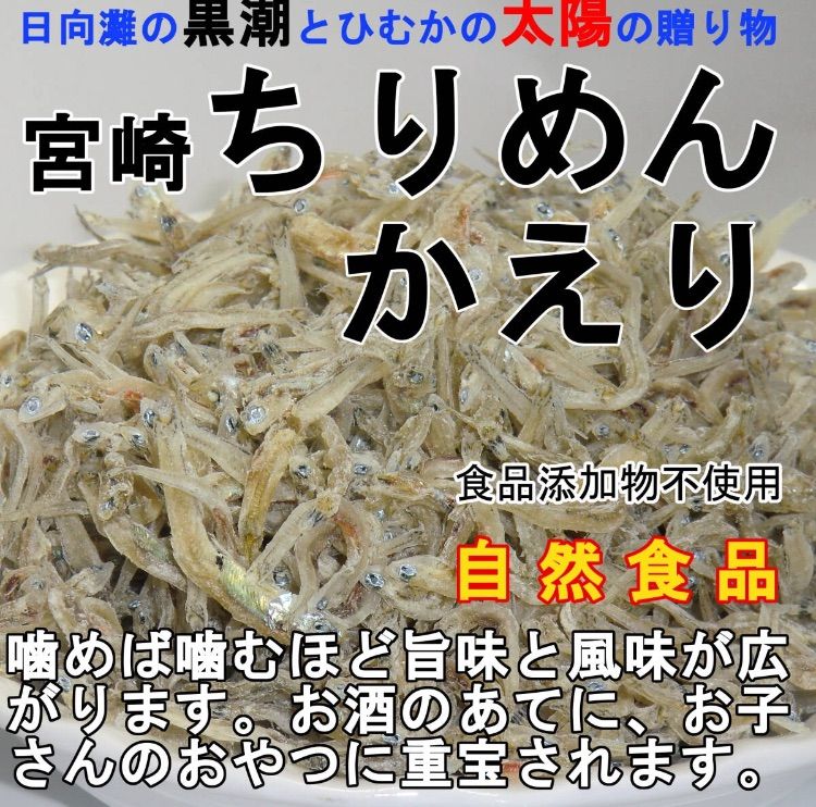 宮崎ちりめん かえり 宮崎名物 100g×3袋 黒潮と日向の太陽の贈物 カルシウムの補給源 ちりめんじゃこ 山西水産 天日干し ご飯のお供 トッピング