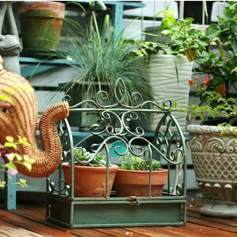 観葉植物