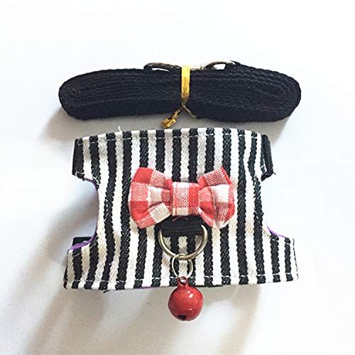 小動物用