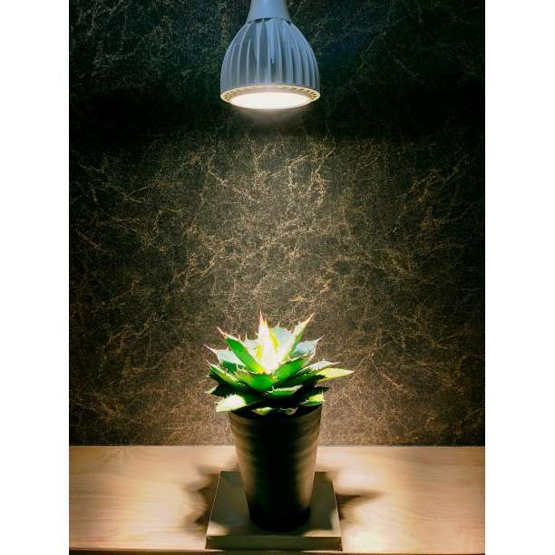 植物育成ライト 30W 4000K 3個 白色 太陽光 フルスペクトルLED