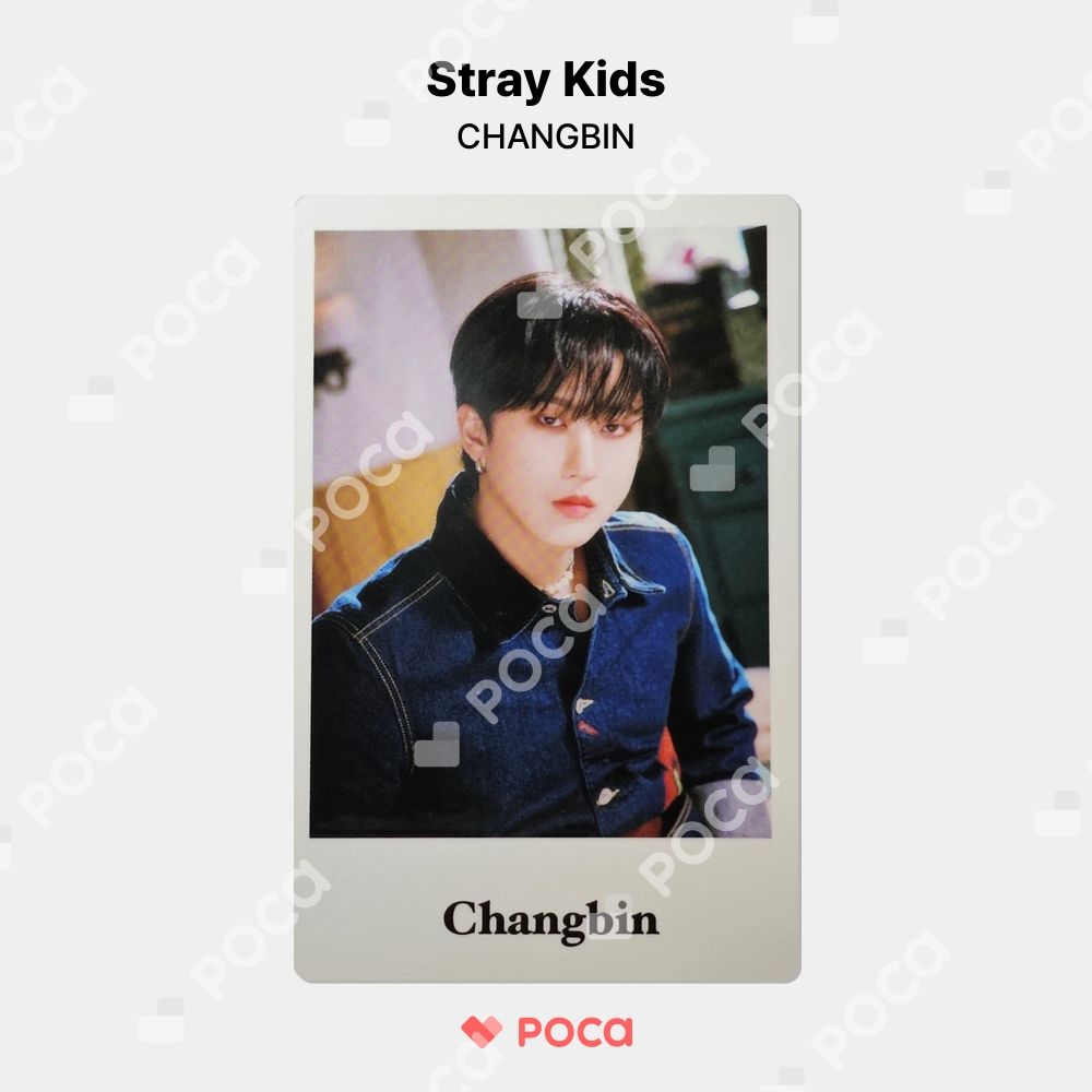 straykids THESOUND ラキドロ トレカ チャンビン straykids THESOUND ラキドロ トレカ チャンビン
