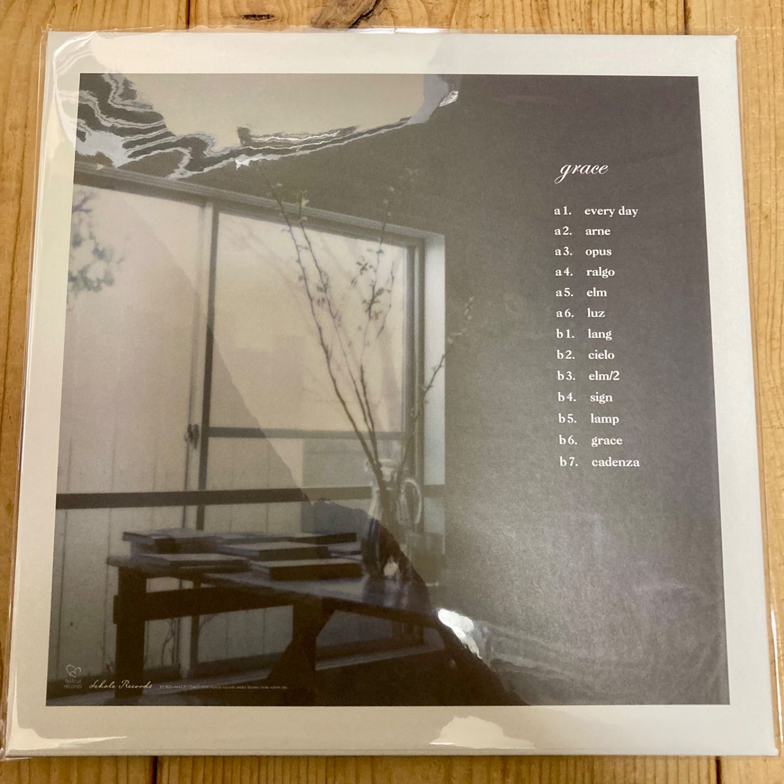 haruka nakamura grace LP レコード 【未使用新品】 FCRD-064LP | haruka nakamura – grace (LP) ｜ Fastcut Records