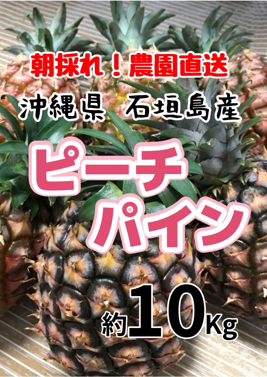 沖縄県石垣島産ピーチパイン約10キロ