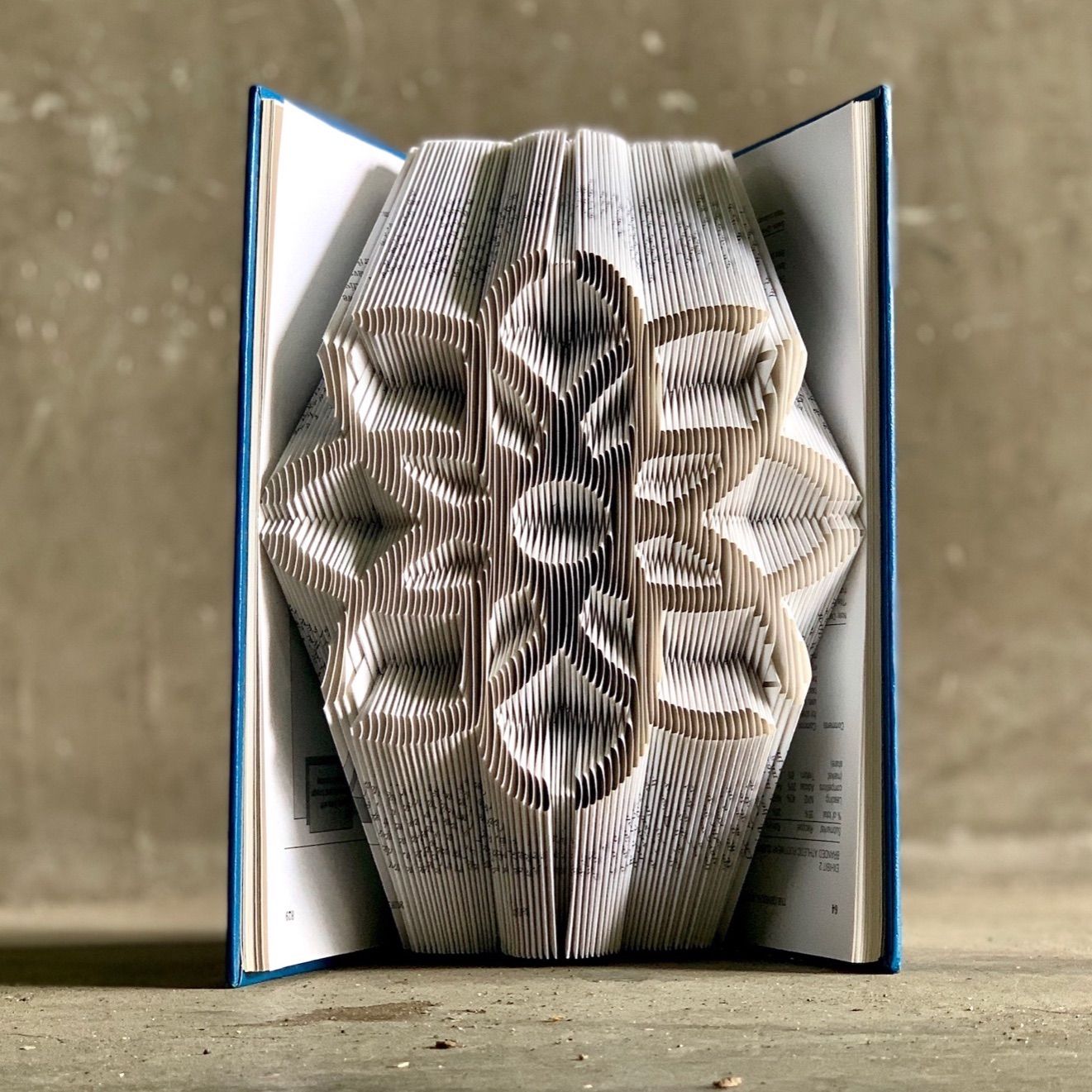 【ーー】ブックフォールディング Book Folding; X+X(Made in 2020) Folded; 904 pages I never