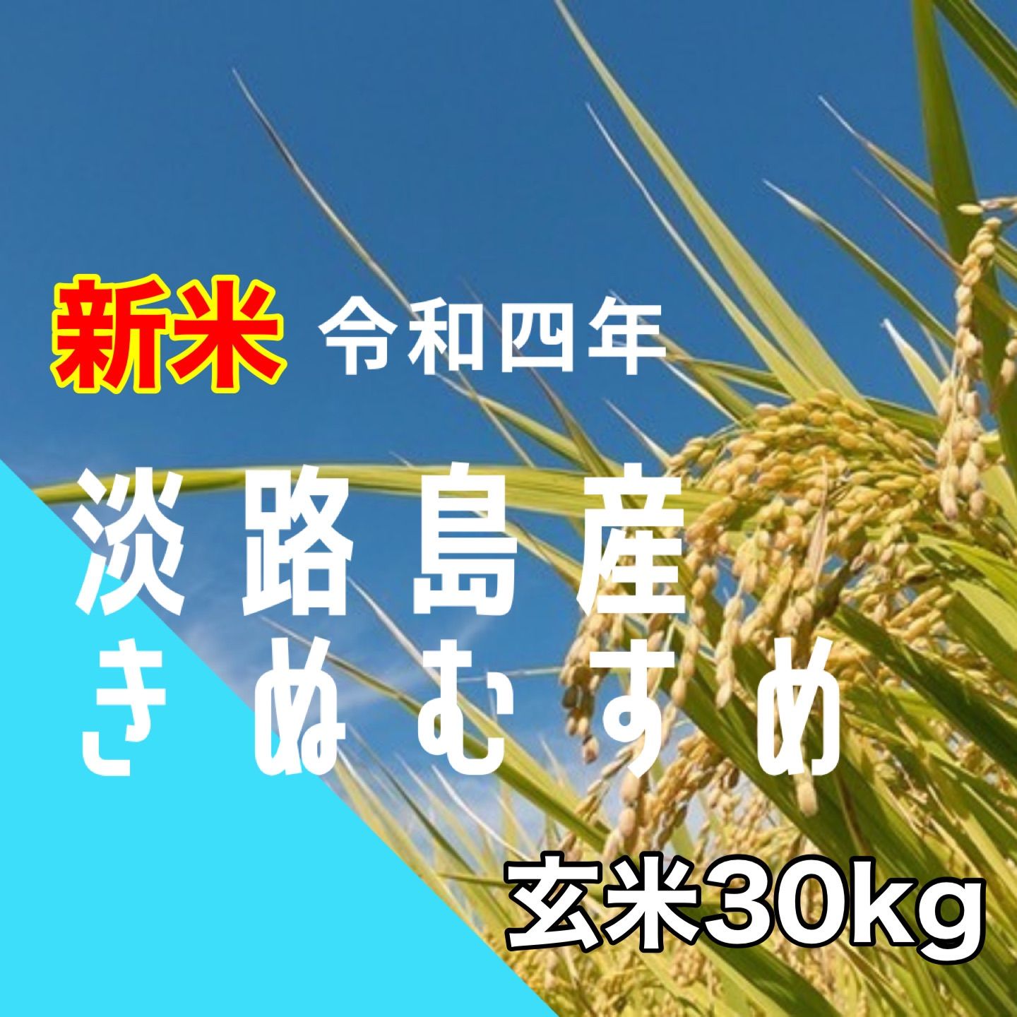 ☆新米☆　玄米10kg　島根県産きぬむすめ　お米