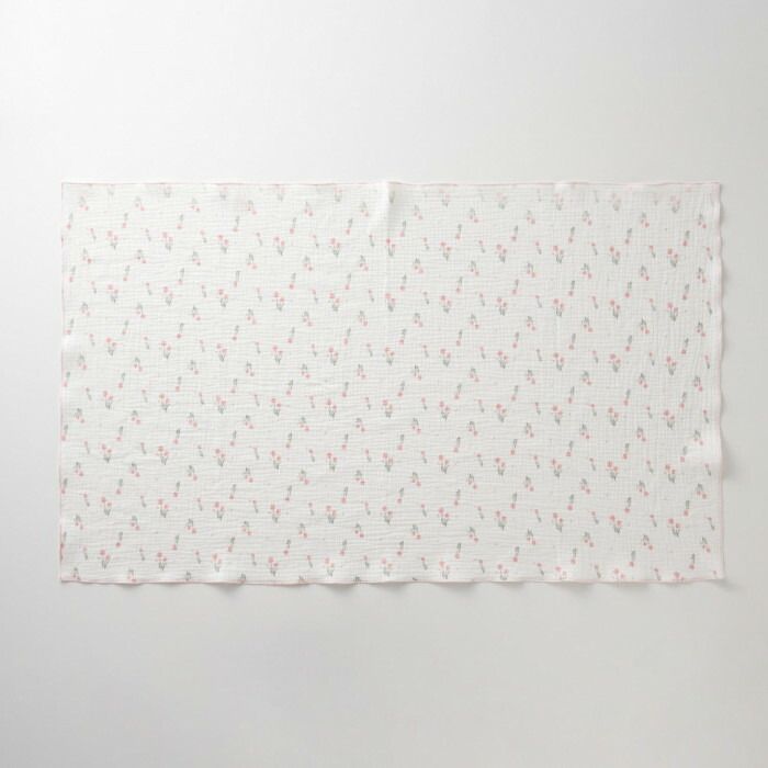 チューリップ PK