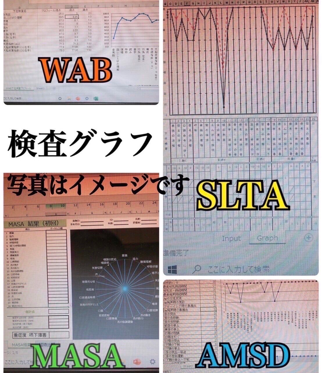 ST学生から現役セラピストまで役立つ☆言語聴覚士の必須USB資料』 - メルカリ