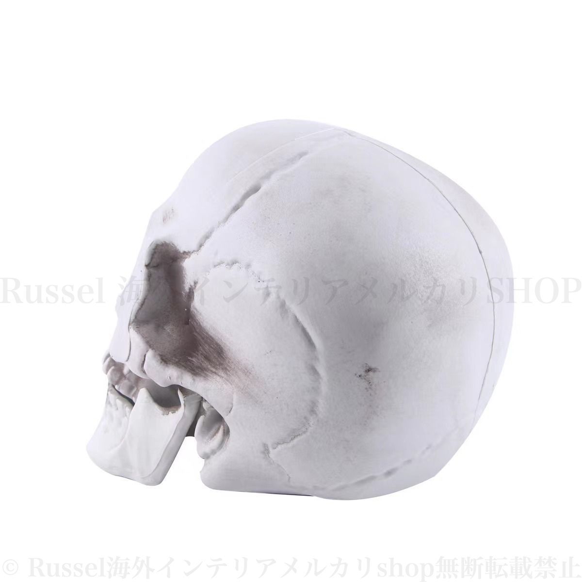 ドクロ どくろ がいこつ 頭蓋骨 模型 人形 スカル 置物