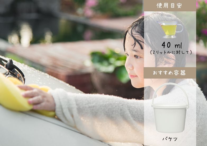 エコ ブランチ110