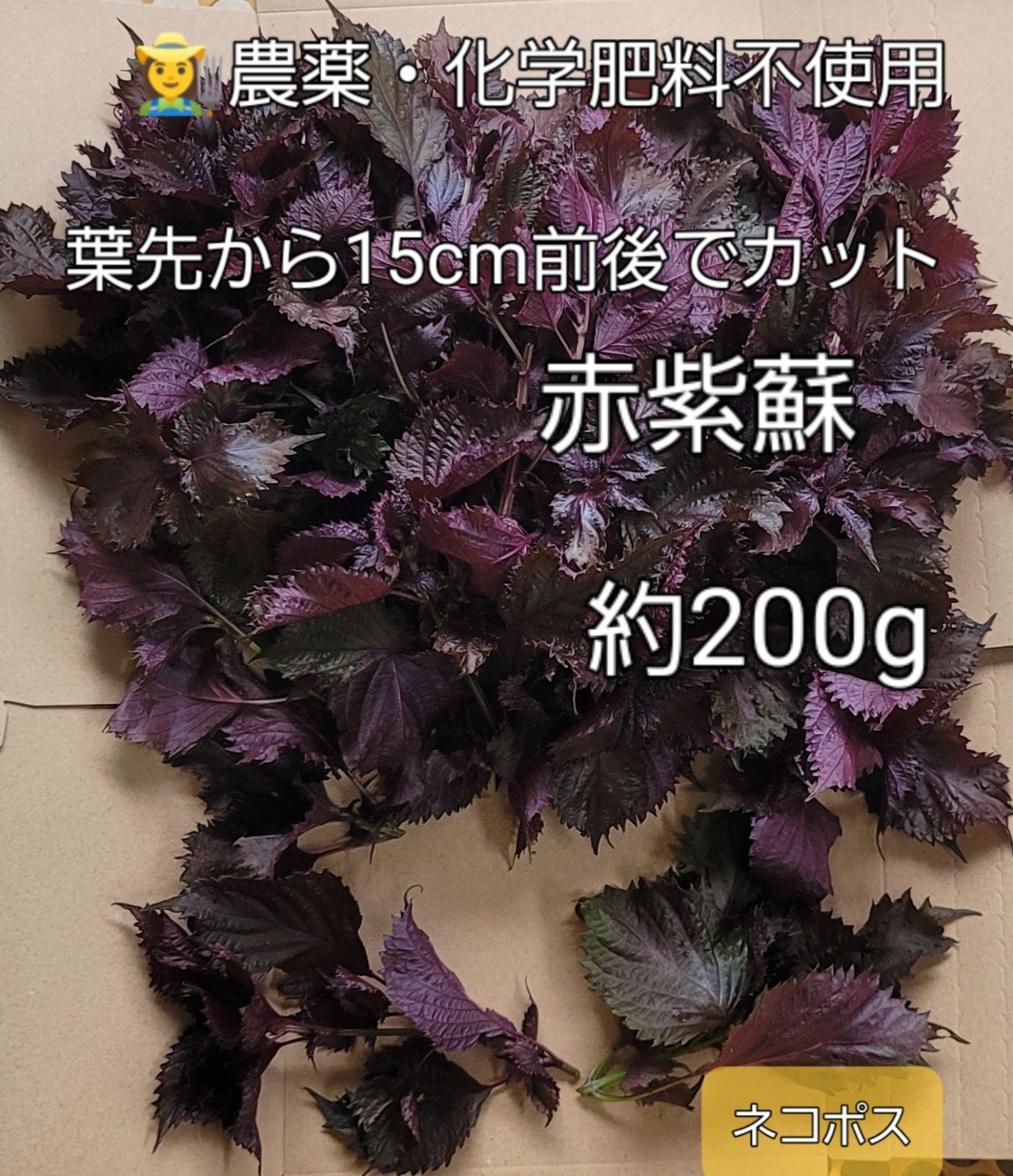 今期最終③ 農薬・化学肥料不使用 露地物 赤紫蘇約200g しそジュースやふりかけなどに ネコポスでお届け - メルカリ