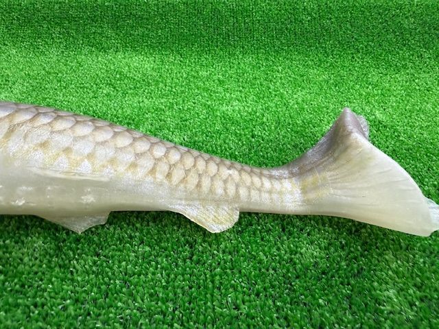 シグナル ウルトラカープ ダークレインボートラウト SIGNAL シグナル