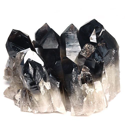 Mac mini 整備品 M2 Pro 32GBメモリ MNH73J/Aを拡張 Mac mini Apple