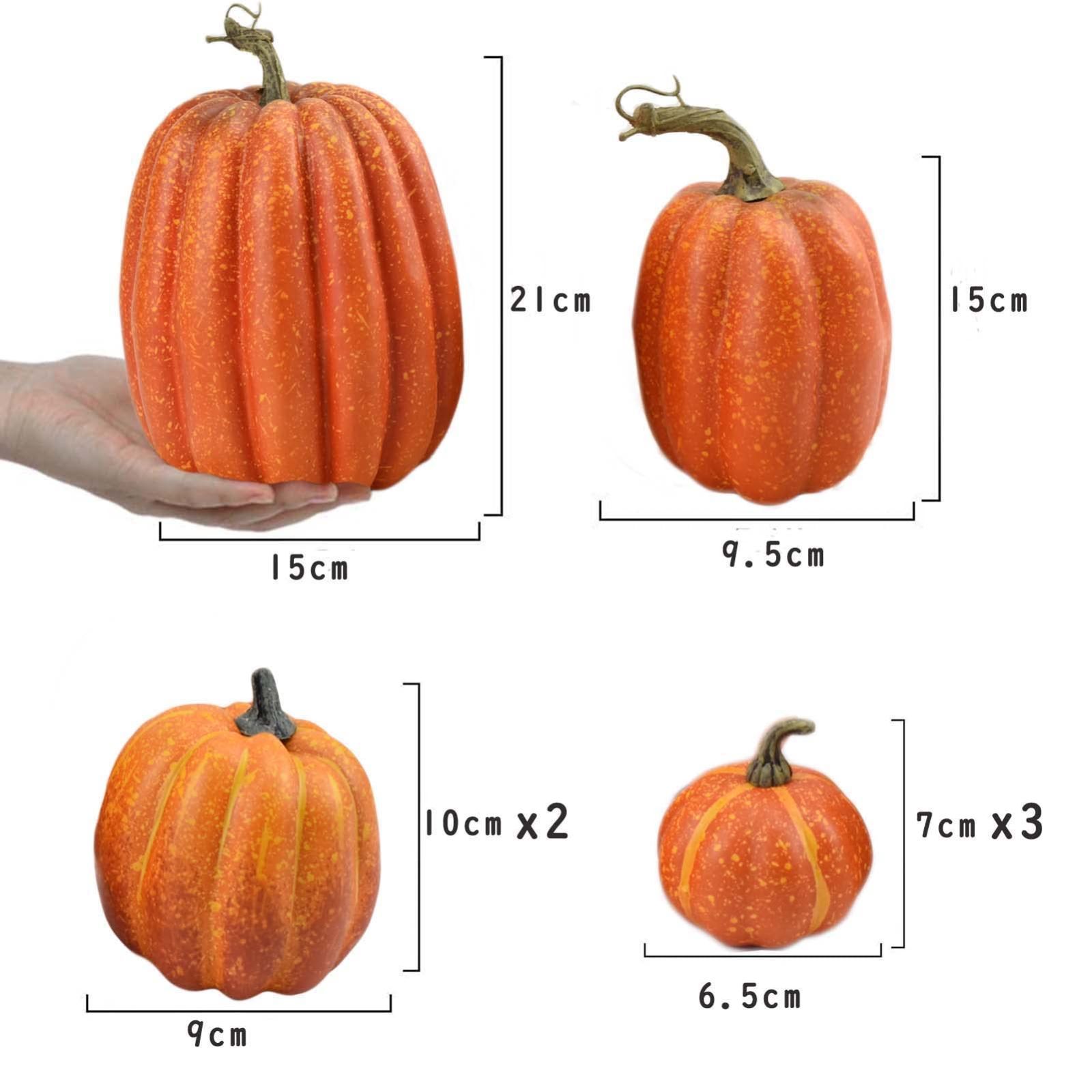 小から大まで四つサイズ