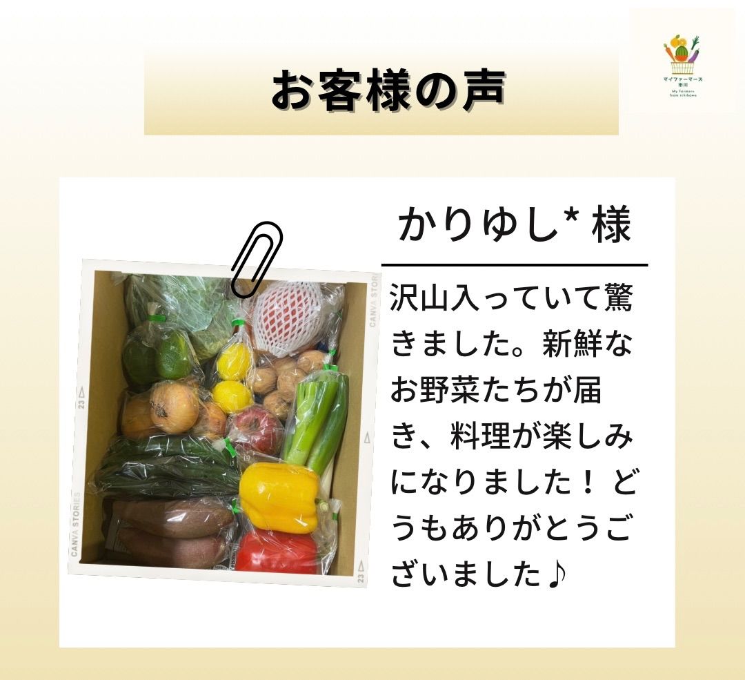 【2022年度 国内No.1獲得！】 クール便 市場直送！ 国産 野菜セット 詰め合わせ 80サイズ箱満載 【福袋】玉ねぎ にんじん じゃがいも みかん 桃 シャインマスカット