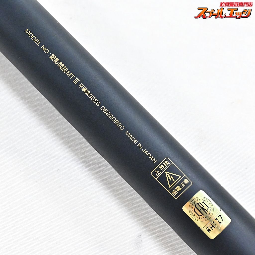 DAIWA 銀影競技メガトルクⅢ早瀬 ダイワ(Daiwa) 銀影競技メガトルクIII 早瀬抜90SG 06220820