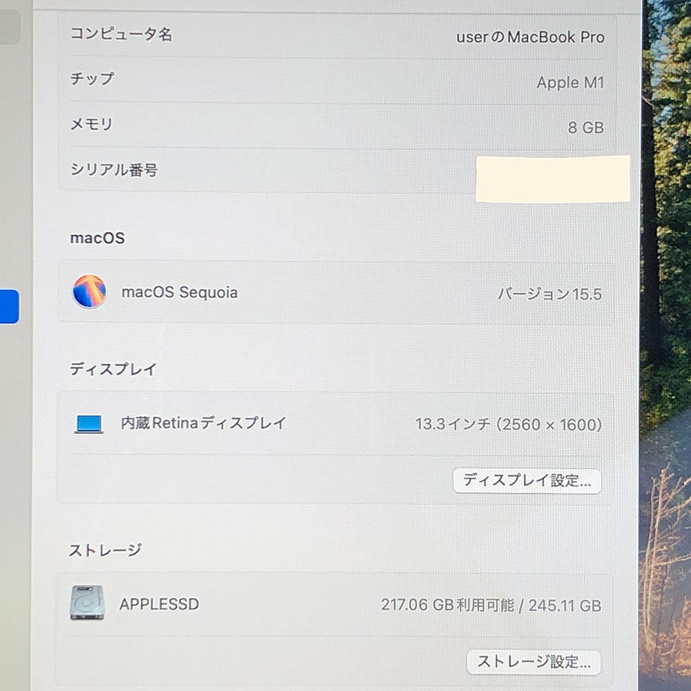 ジャンク】MacBook Pro M1 8GB 256GB - メルカリ