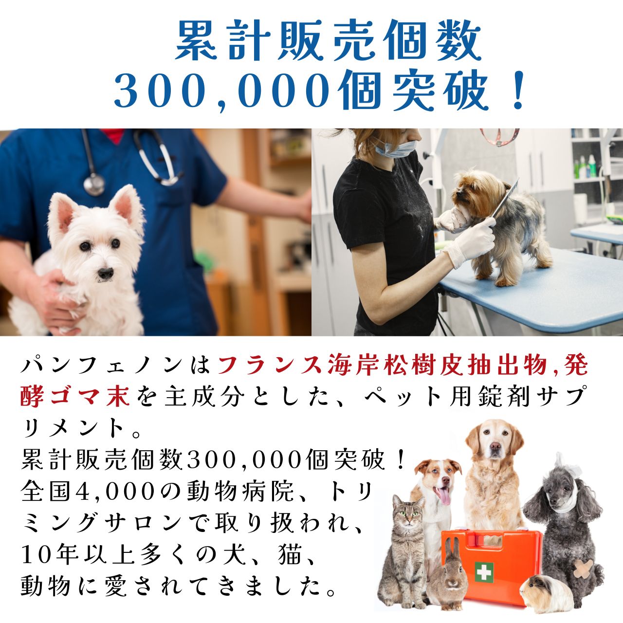 スケアクロウ パンフェノン 3個新品健康 - 犬