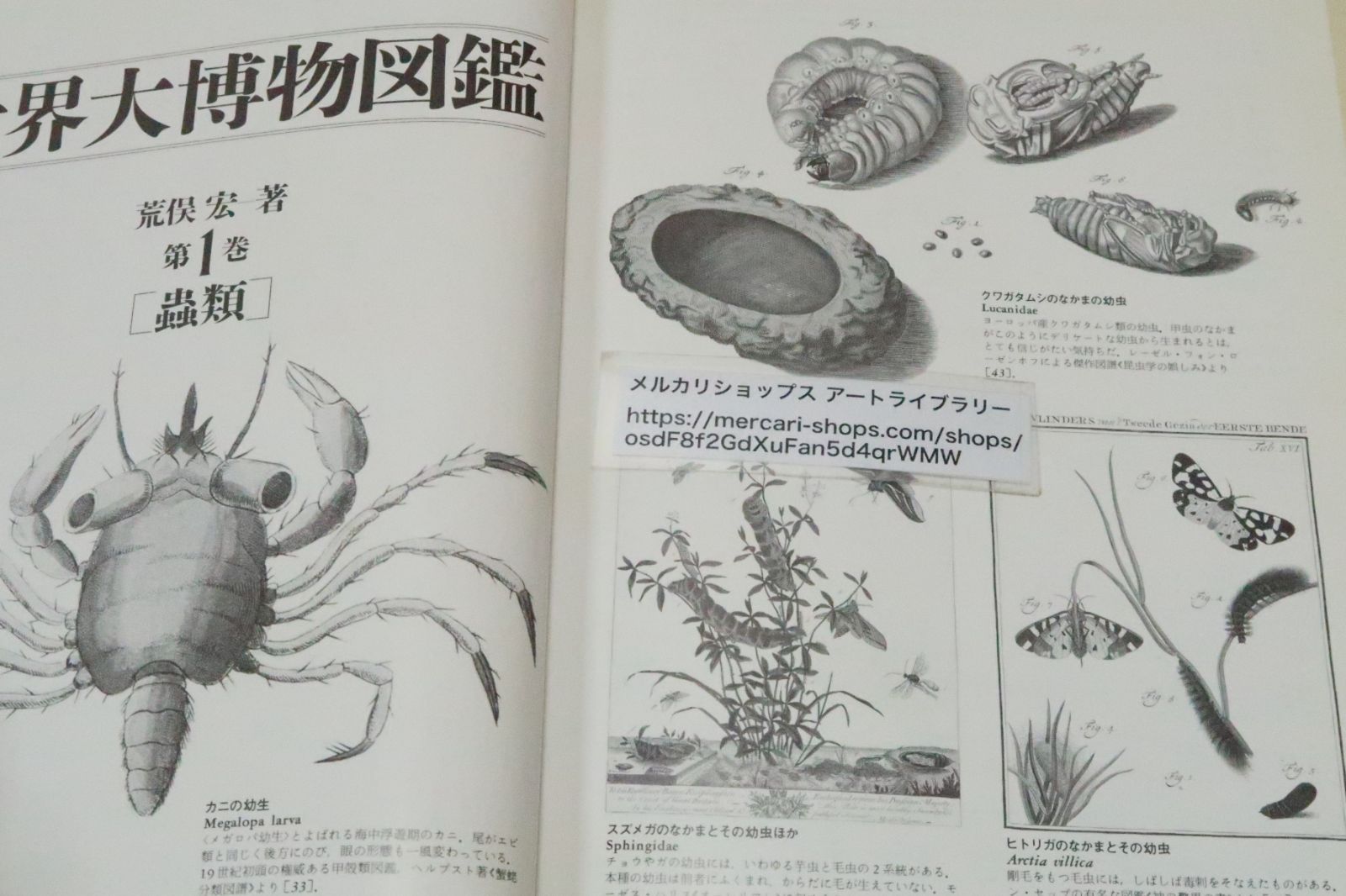 世界大博物図鑑1・虫類/荒俣宏/定価15534円+税/古代から現代に