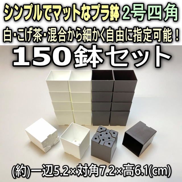 シンプルでマットなプラ鉢2号四角(スクエア)-白・こげ茶・混合から150鉢セット