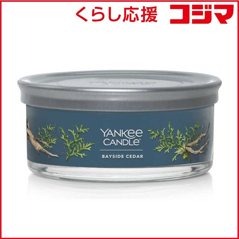 明治時代京都 森田山陽作 購入 古銅花文提梁花器 在銘 古美術 ウブ品