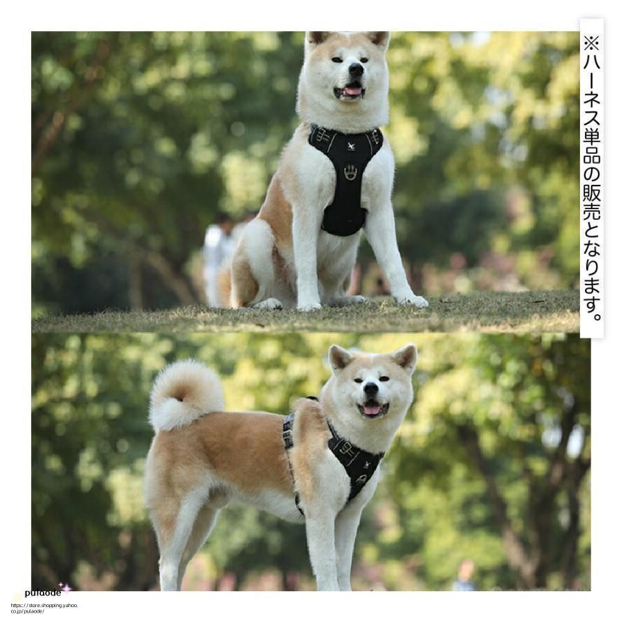 シンブル お出かけ