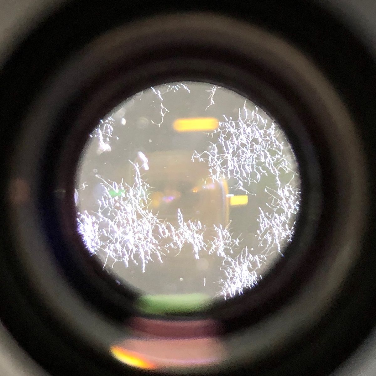 ❤Canon 50D❤ハイアマ必見お手頃中級機！❤フル装備キット❤超